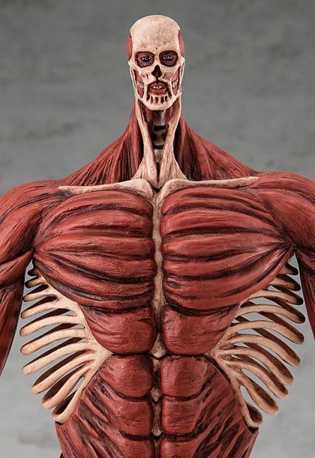 Armin Arlert Colossal Titan Ver. L size POP UP PARADE Figure -- Attack on Titan