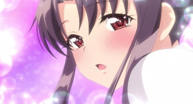 *Clearance Sale* Harem Camp! - Premuim Edition  (Blu-ray)