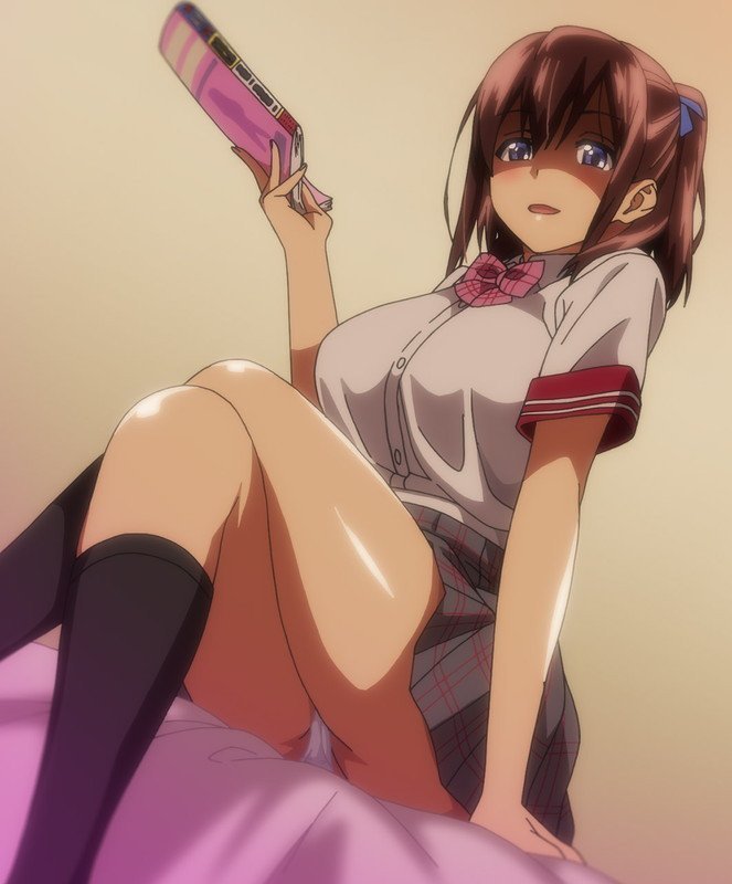 OVA Sister Breeder 4 (Region 2)