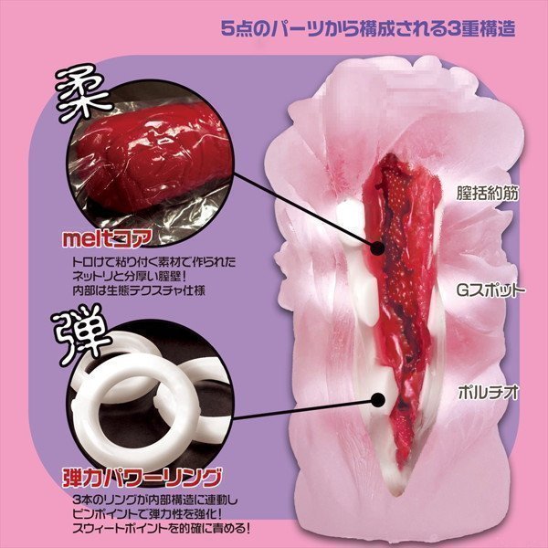 Passionate Gimmick -- Toroman Soft Edition