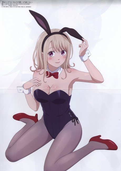Megami Magazine May 2025 *COVER DAMAGED*