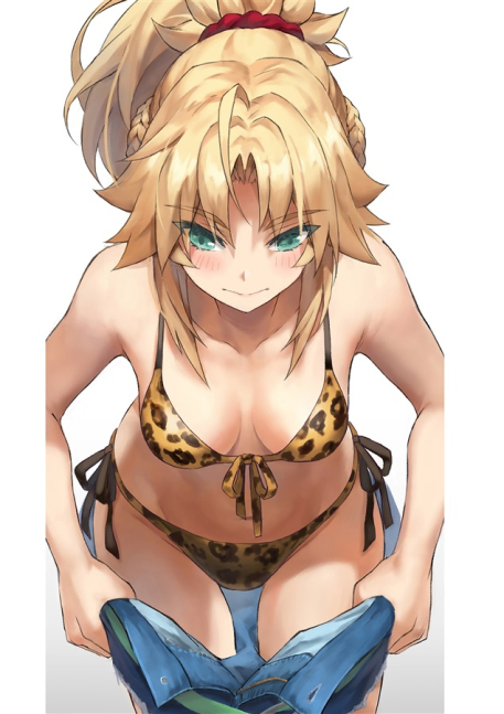 Moo Collection F (Mordred Parody Book)
