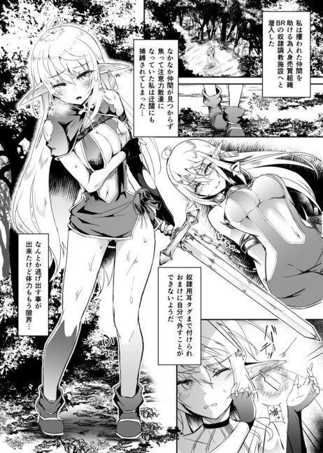 Escaping Elf 6 -- Chobo Elf 6