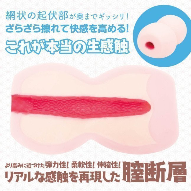 *Clearance Sale* Mitarashi TITUDANSOU ~ Net