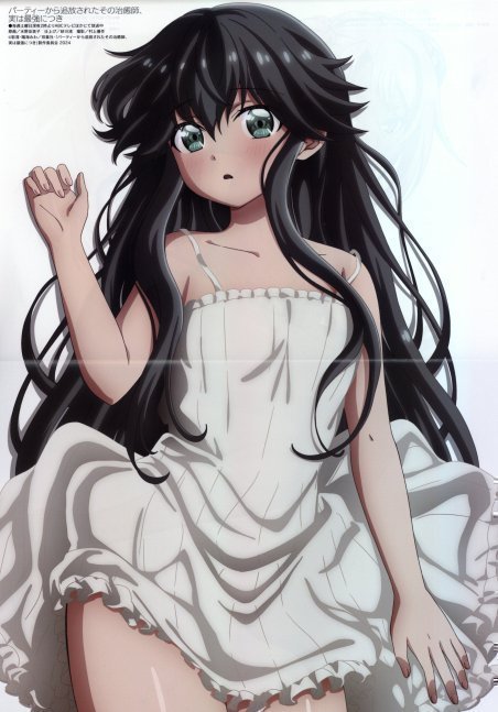 Megami Magazine January 2025