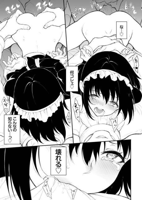 Maid Kyouiku 2 - Botsuraku Kizoku Rurikawa Tsubaki