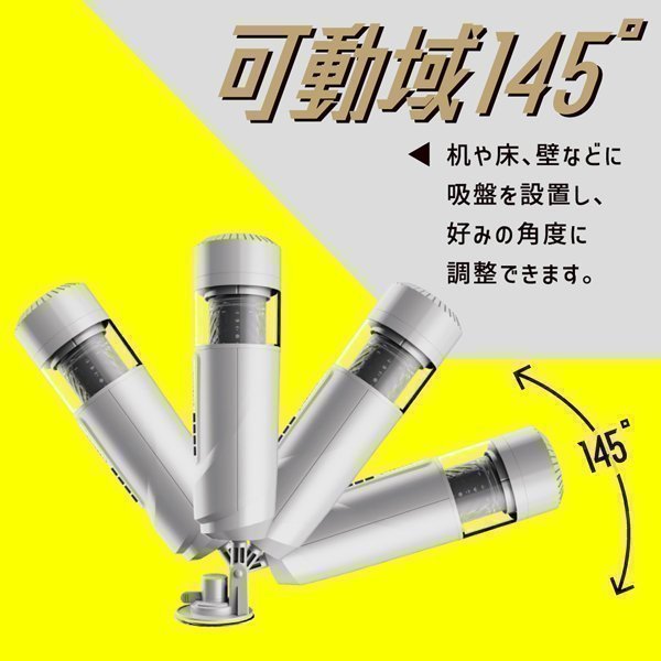 PUNIANAROID 6 -- Automatic Masturbation Technology (Puni And Roid)