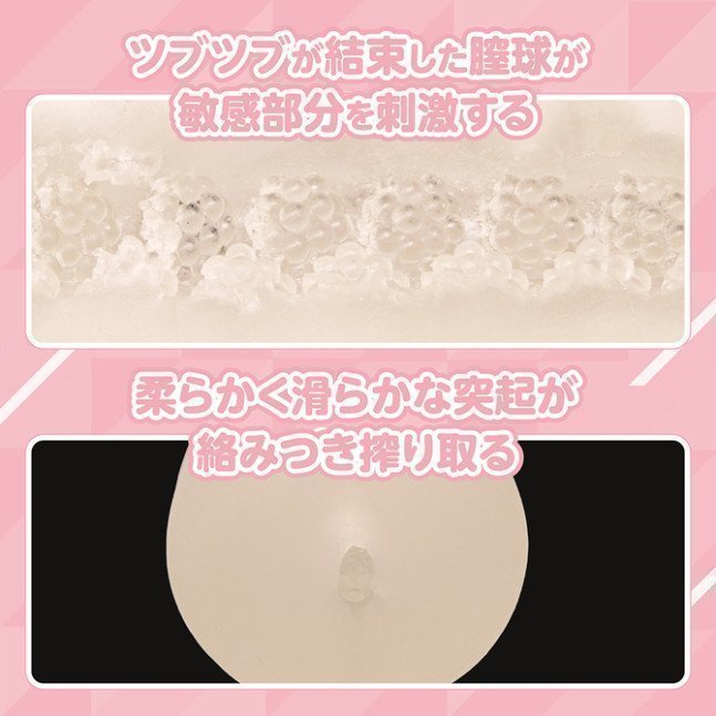 Tama Hole -- Sakura Tsumiki ~ Limited Edition with Acrylic Figure