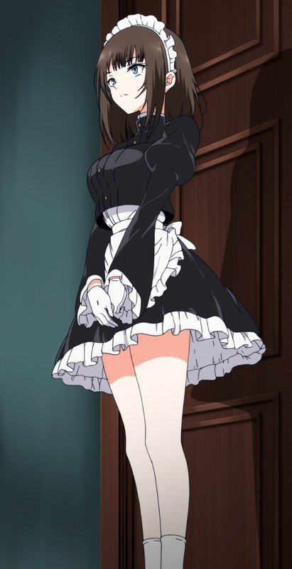 Maid Education: Fallen Aristocrat Rurikawa Tsubaki THE ANIMATION vol. 1 (Region 2)