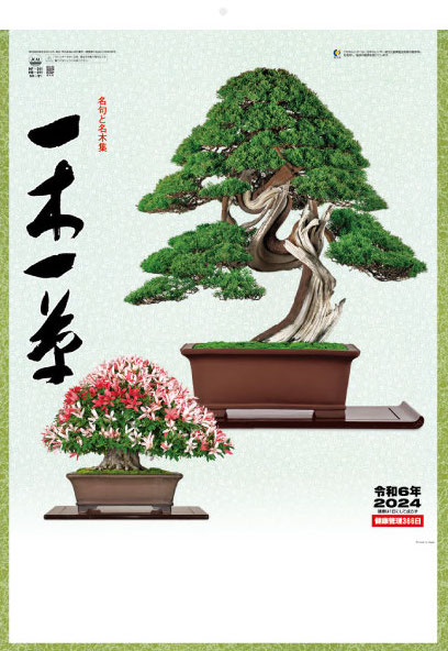 Calendrier 2024 Jardin Japonais (Ts) Asie Zen Bonsai + Offert Un Agenda De  Poche[H1401] - Cdiscount Beaux-Arts et Loisirs créatifs