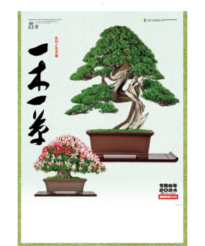 Bonsai (2024 Calendar)