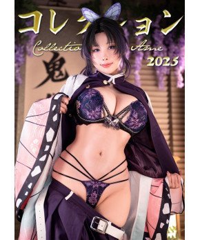HaneAme Cosplay Photobook 2025 Collection Shinobu Kochou, Houkai Star Rail, Stella Blade Eve...