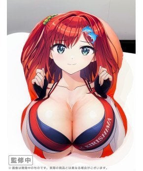 Dolphin Wave Life Sized TANIMARU Cushion - Iruka Sakimiya