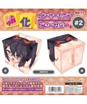 Box-Shaped Insert Air Pillow Cover #2