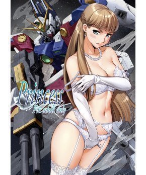 Princess --- Gundam W Special
