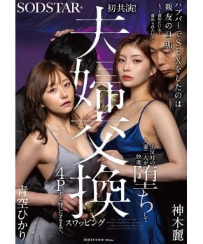 Couple Swapping 4P -- Hikari Aozora, Rei Kamiki